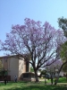 DSC01503.JPG