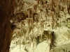 DSC01895.JPG
