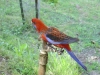 DSC01910.JPG