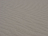 DSC00979.JPG