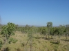 DSC00784.JPG