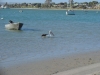 DSC01136.JPG