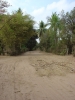 DSC03761.JPG