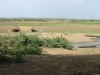 DSC03771.JPG