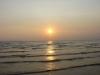 DSC03653.JPG