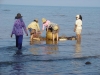 DSC03664.JPG