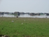 DSC03542.JPG