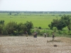 DSC03562.JPG