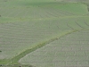 DSC04695.JPG