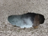 DSC04334.JPG