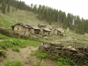 DSC04336.JPG