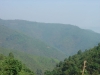 DSC04002.JPG