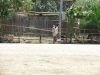 DSC04003.JPG