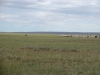DSC06100.JPG