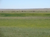 DSC06226.JPG