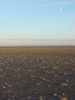 DSC06235.JPG