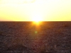 DSC06238.JPG