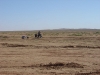 DSC06247.JPG
