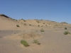 DSC06252.JPG