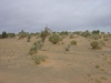 DSC06290.JPG