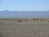 DSC06303.JPG