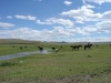 DSC06006.JPG