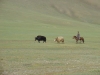 DSC06039.JPG