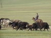 DSC06043.JPG