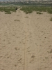 DSC05885.JPG