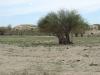 DSC05891.JPG