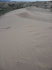 DSC05901.JPG