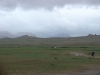 DSC05911.JPG