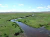 DSC05925.JPG