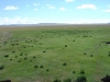DSC05927.JPG