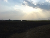 DSC03303.JPG