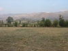 DSC03306.JPG