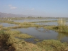 DSC03307.JPG