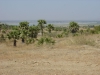 DSC03037.JPG