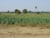 DSC03044.JPG