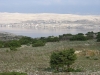 DSC06963.JPG