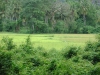 DSC05166.JPG