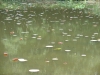 DSC05457.JPG