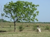 DSC05619.JPG