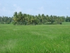 DSC05622.JPG