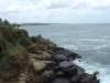 DSC05636.JPG