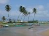 DSC05696.JPG