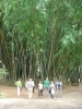 DSC05699.JPG