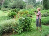 DSC05702.JPG