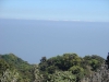 DSC02526.JPG