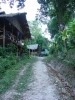 DSC02335.JPG